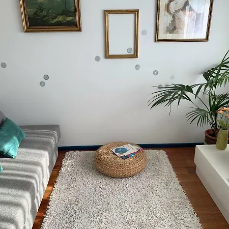 Sp199 Flat Apartment Porto
